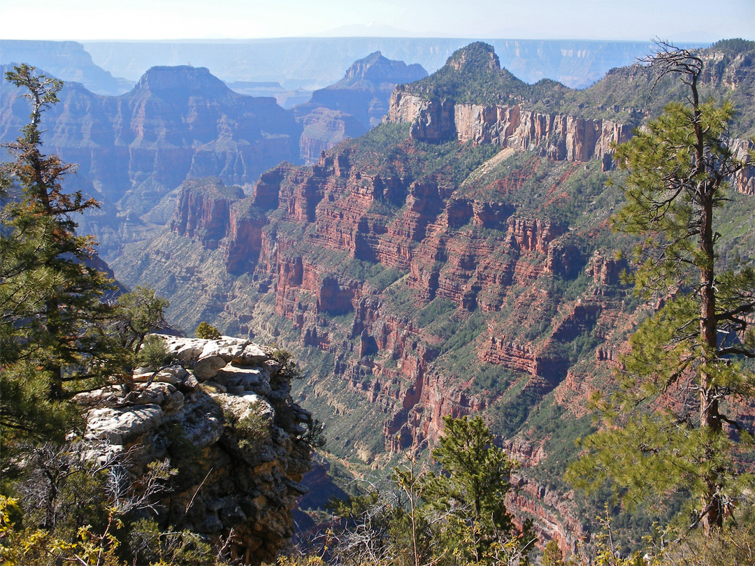 Widforss Trail