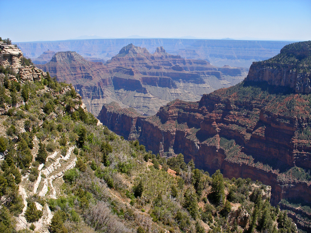 View south along the trail