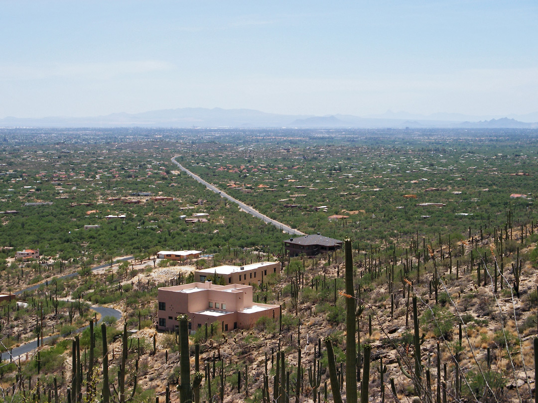 The Tucson suburbs