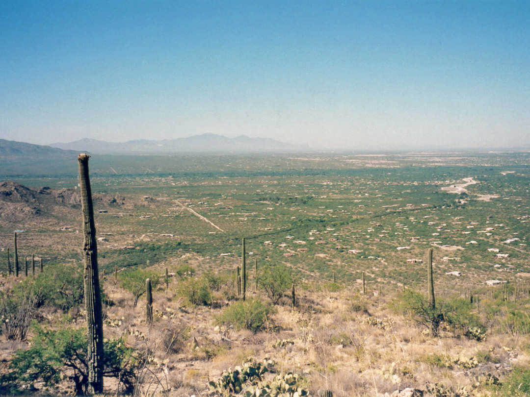 Tucson and the edge of Saguaro East