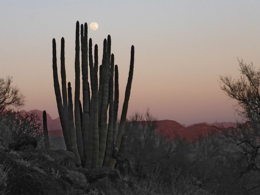 Moon, after sunset