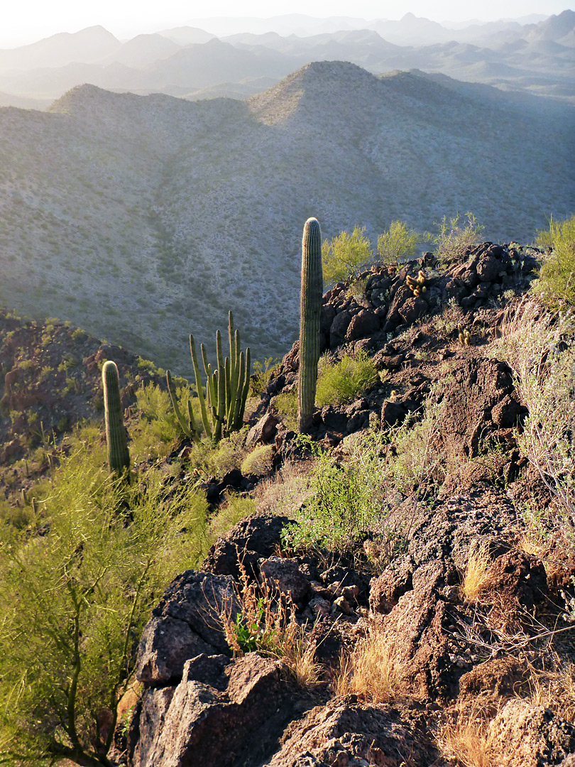Rocky hillside: Twin Peaks, Organ Pipe Cactus National Monument, Arizona