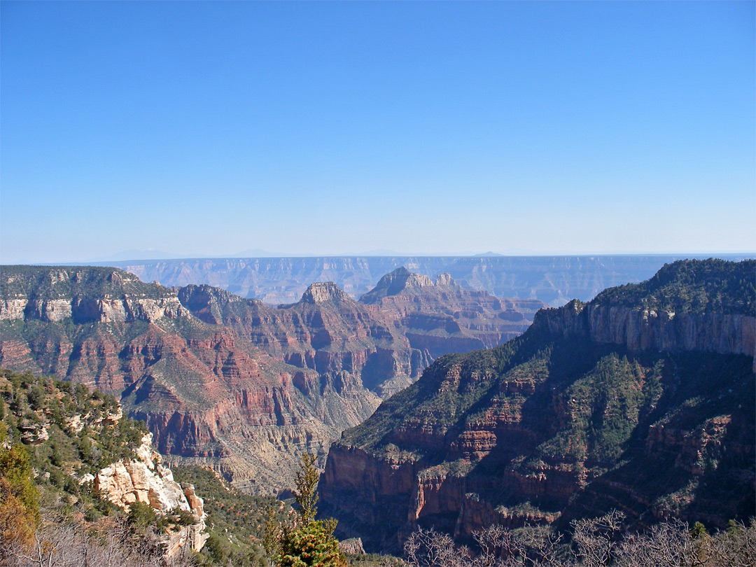 View south from Uncle Jim Point