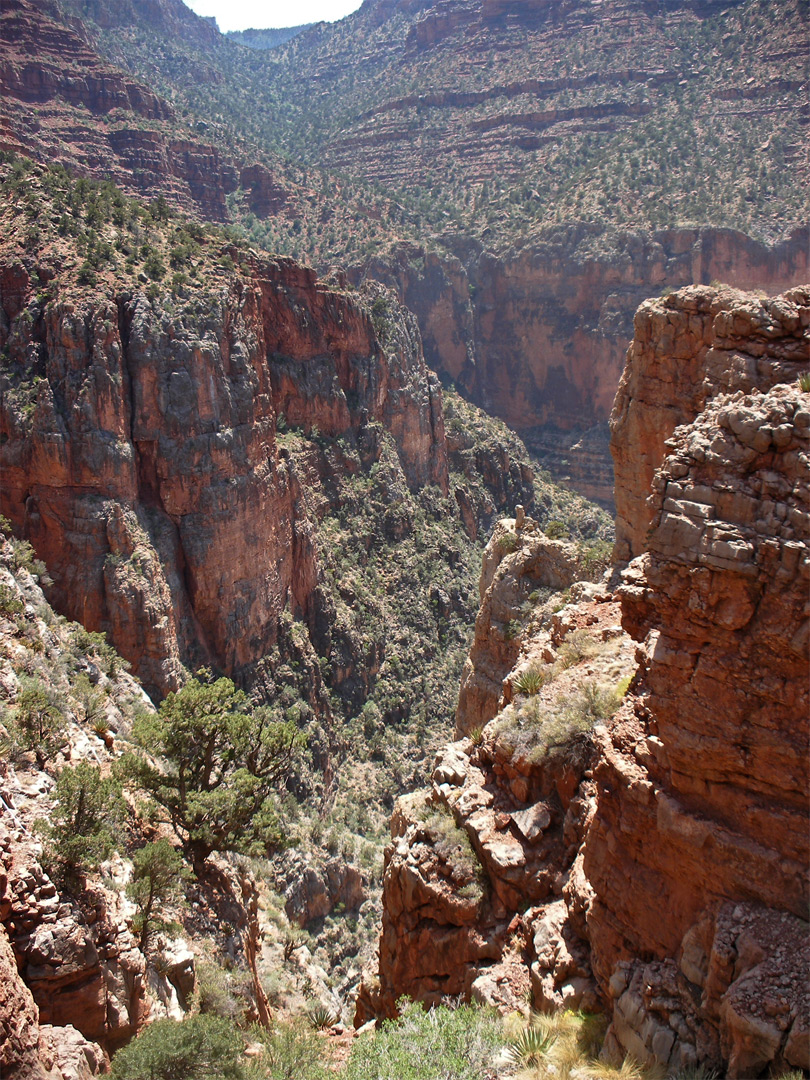 Half way on the trail