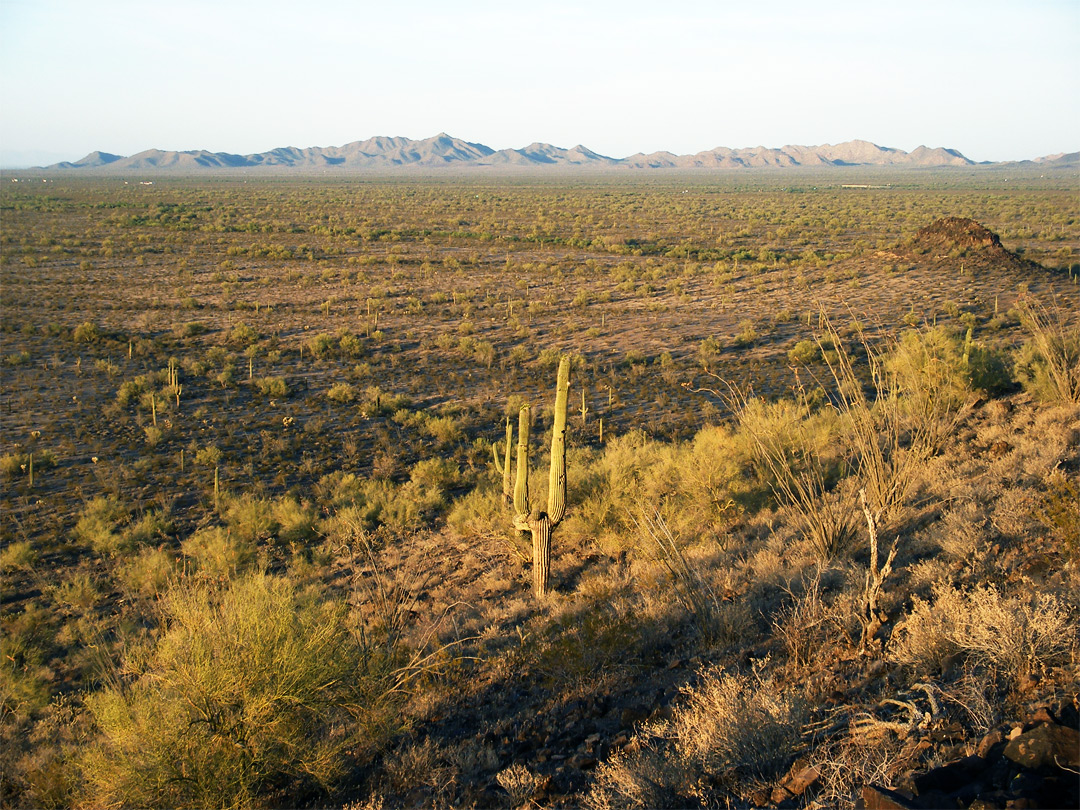 Edge of Lost Horse Peak