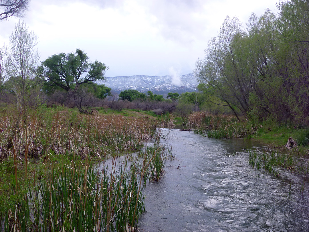 Verde River