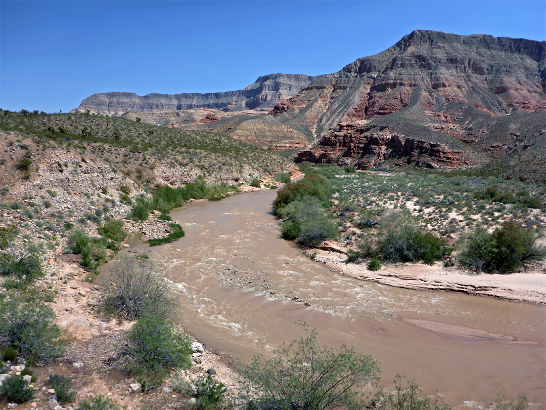 Canyon of the Virgin River