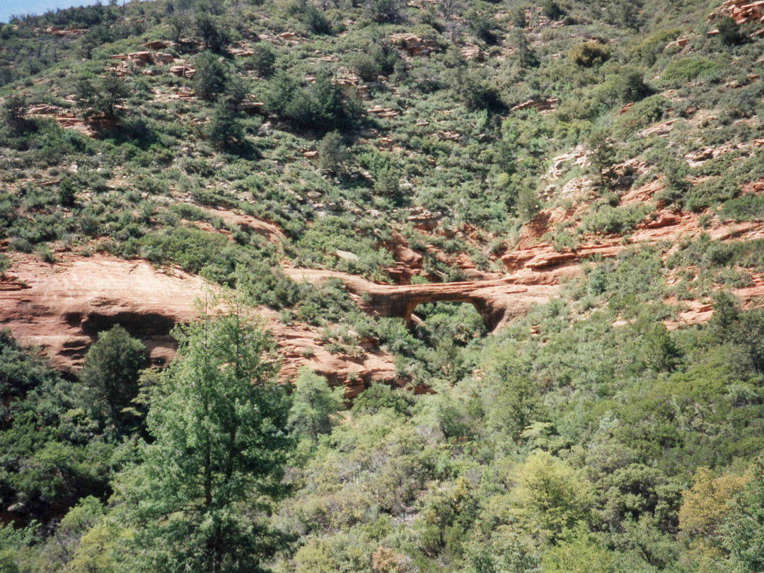 Vultee Arch