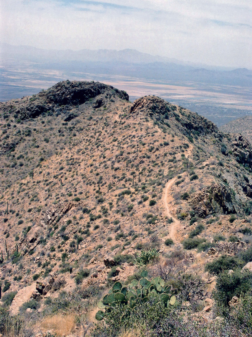 View from Wasson Peak