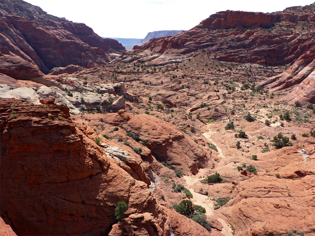 Upper part of the canyon