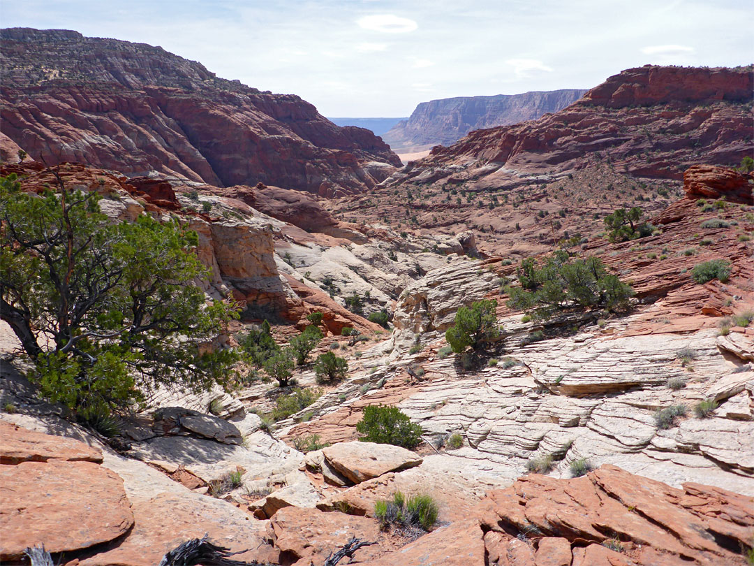 White rocks