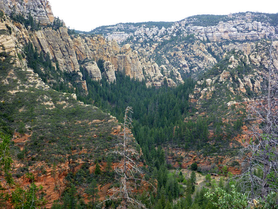 West Fork of Oak Creek