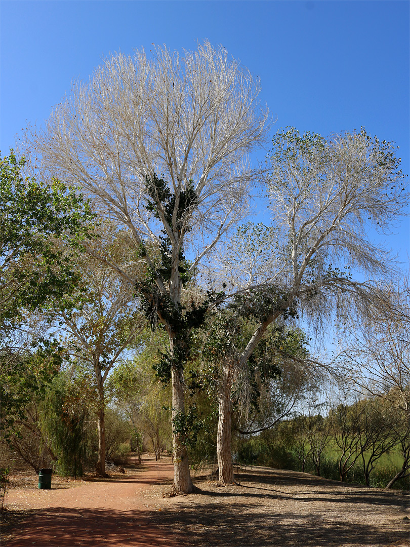 West Wetlands Park