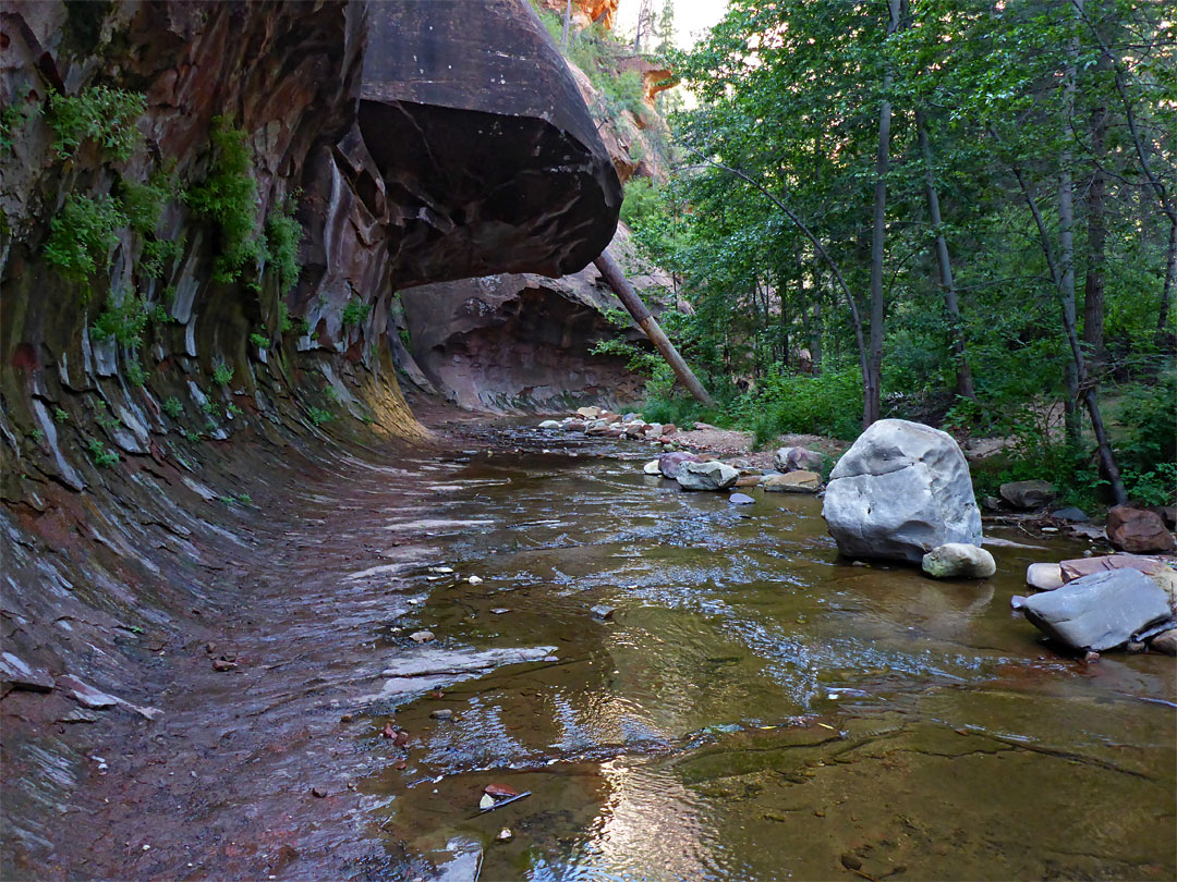 Log and boulders