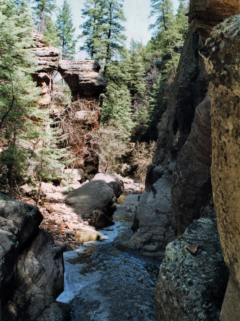 Narrow part of Meadow Canyon