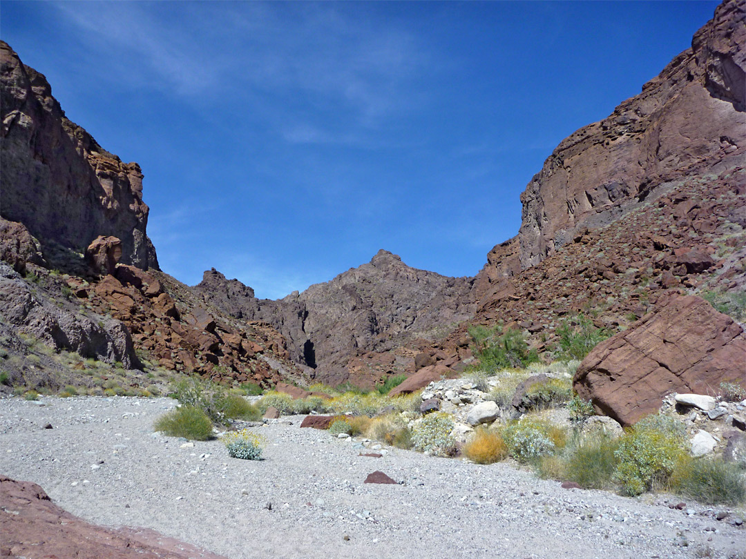 Lower end of White Rock Canyon