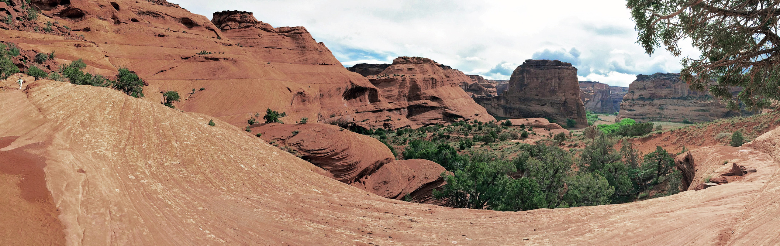 Rocks along the trail