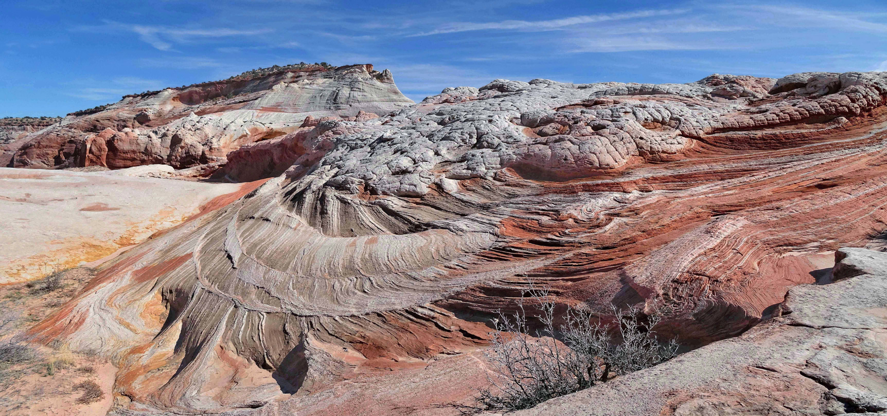 White ridges