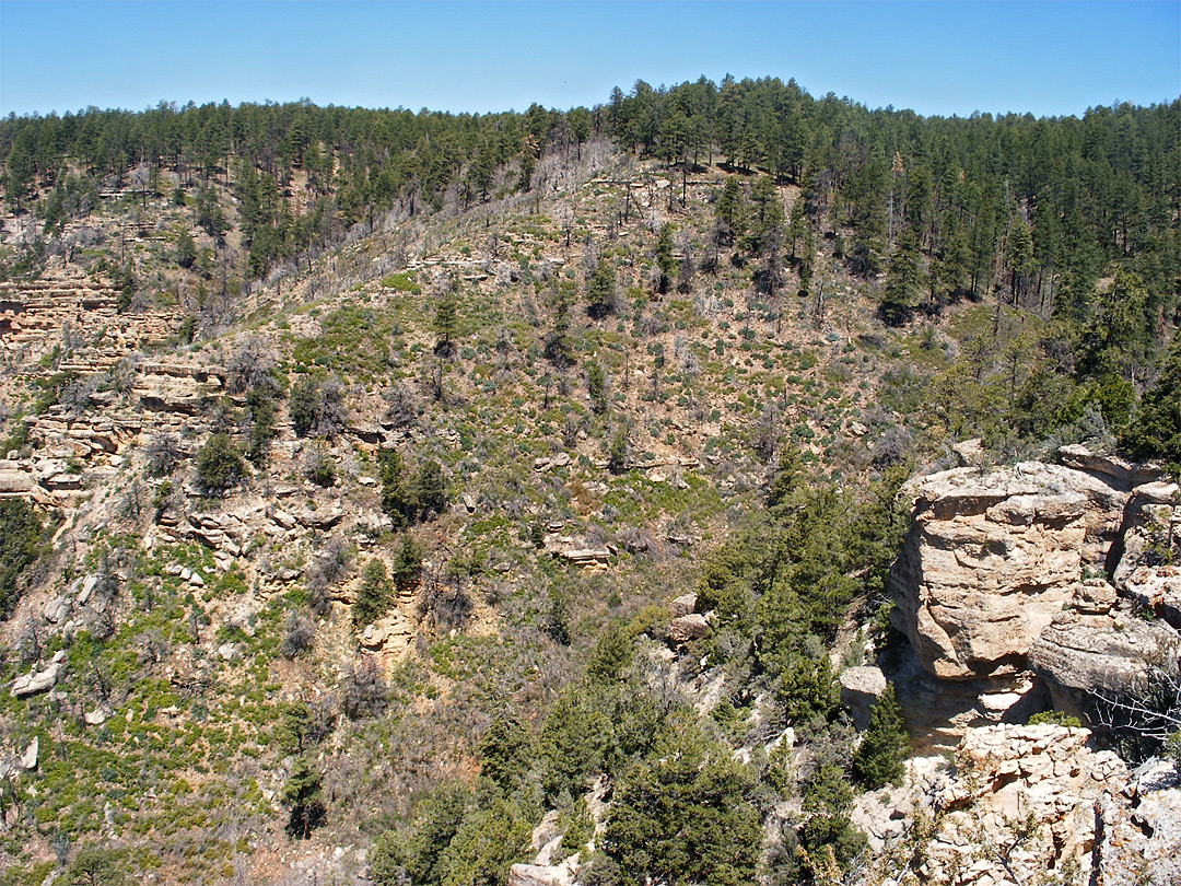 Hillside below the end of the trail