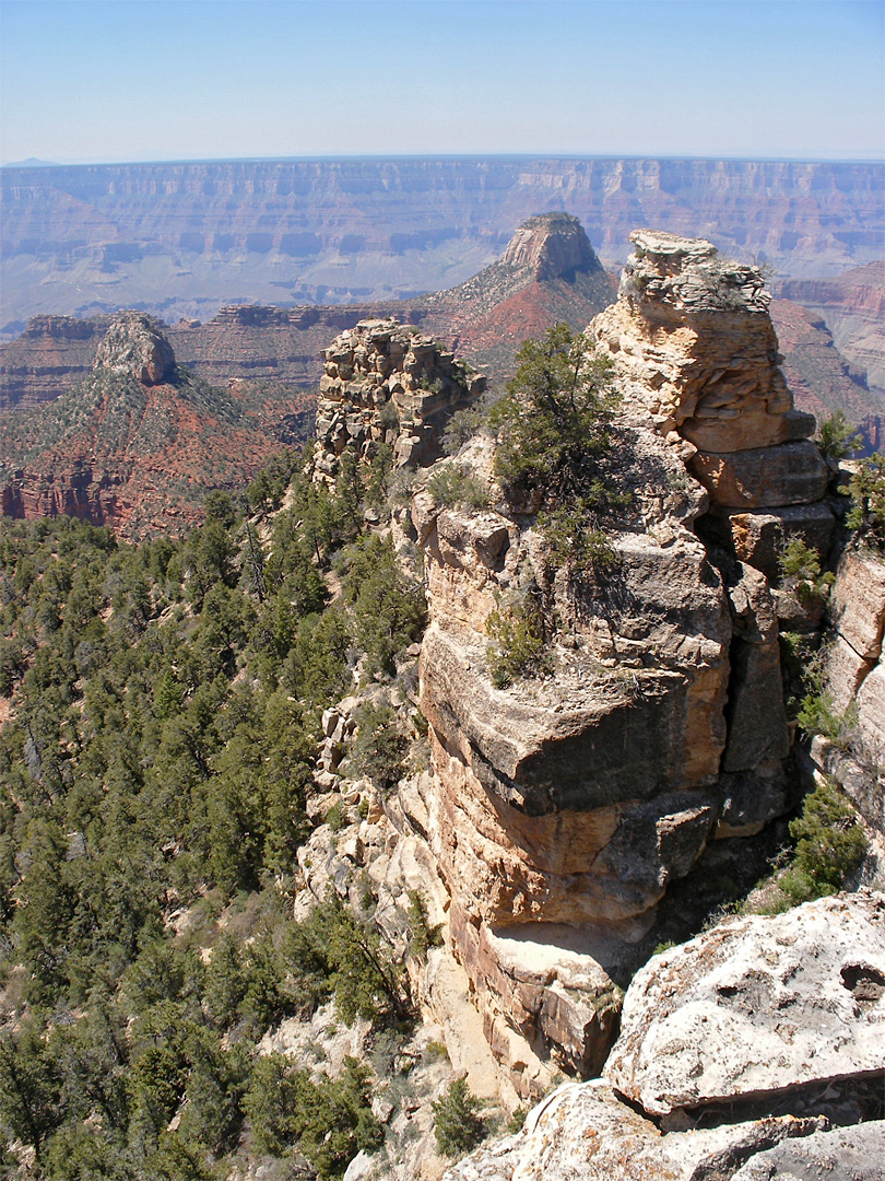 View south from the point