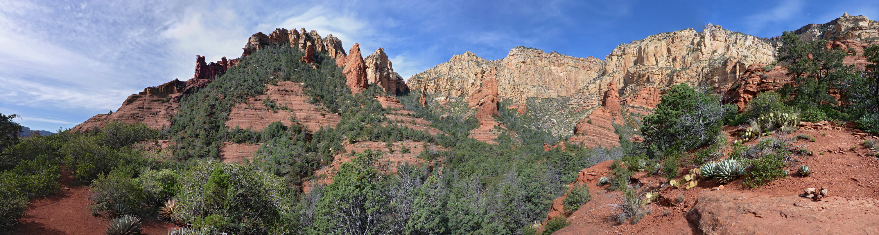 Bushes and red rocks