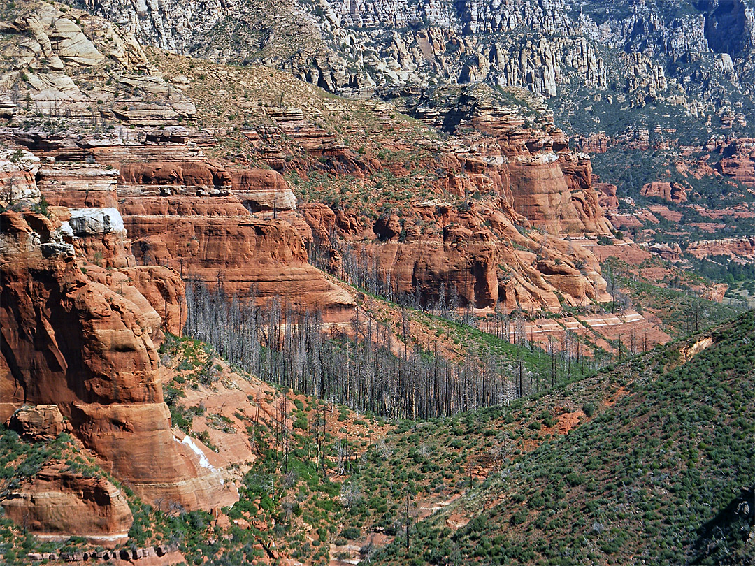 Edge of Wilson Mountain