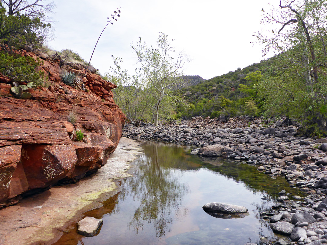 Low red cliffs