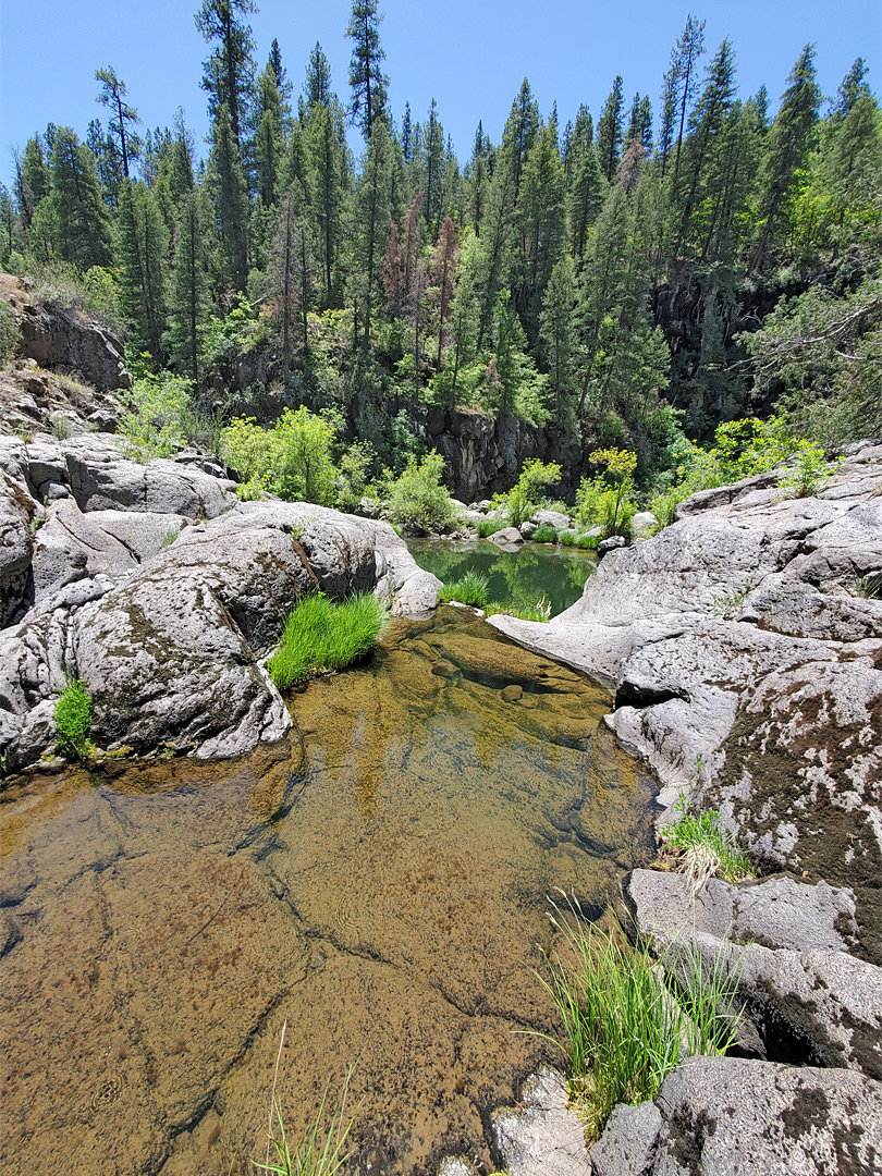 Pool and drop-off