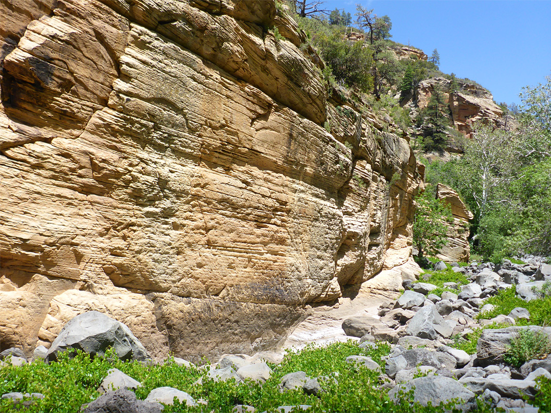 Thin-layered sandstone cliff
