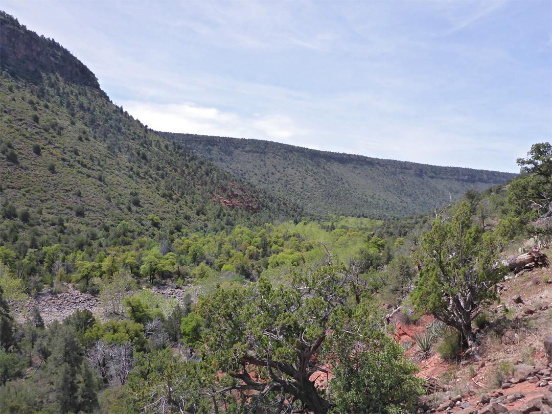Woods Canyon - downstream