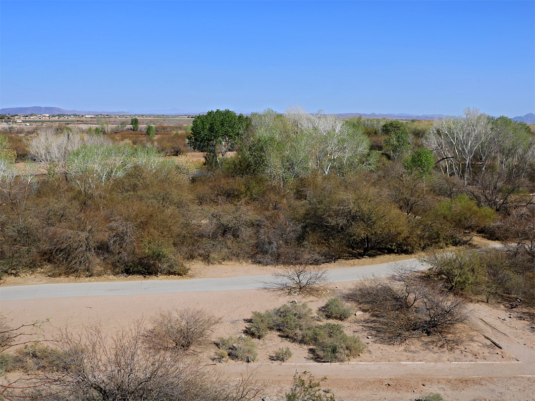 East Wetlands Park