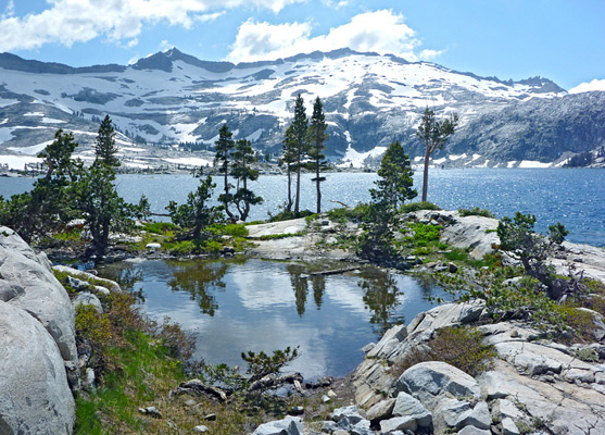 Pond at the edge of Lake Aloha