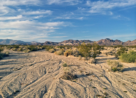 Desert east of Amboy Crater