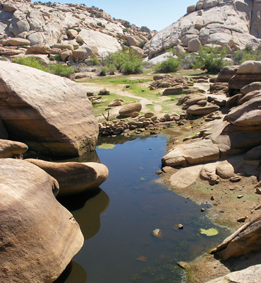 Shallow pool behind Barker Dam