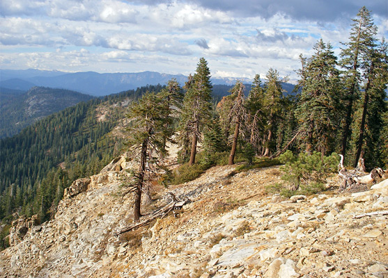 Big Baldy Ridge