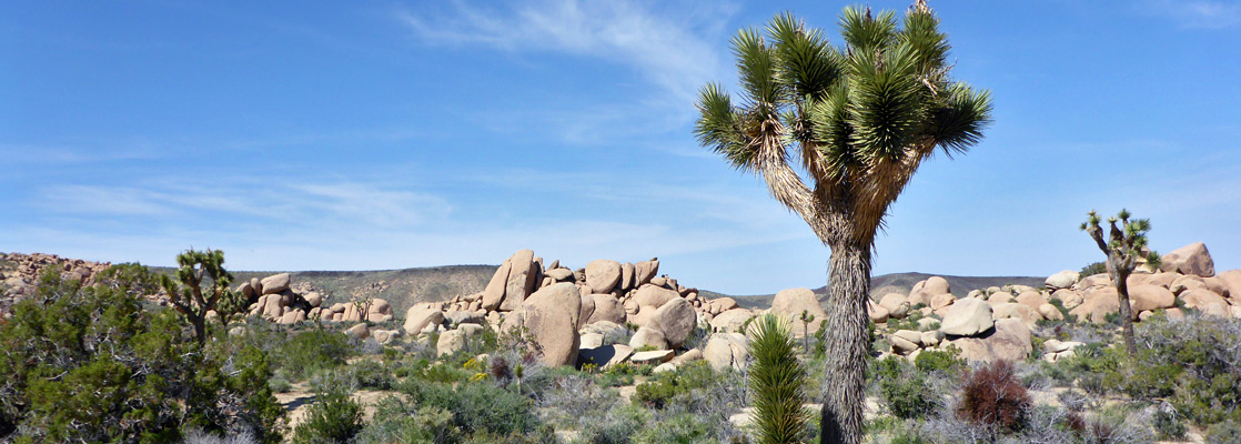 Granite boulders near Black Lava Butte