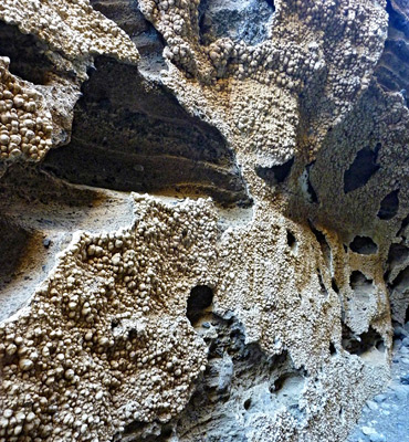 Eroded, encrusted canyon walls