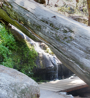 Congress Trail across a small stream