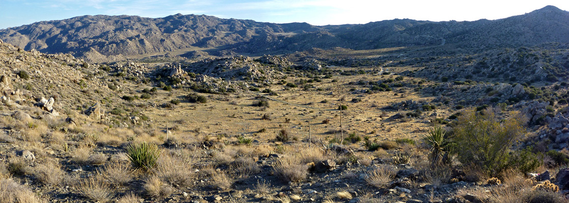 Culp Valley, from the ridge to the north