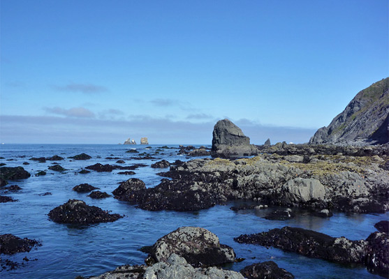 Pools, rocks and seaweed, at low tide