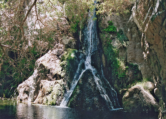 Split waterfall - lower Darwin Falls