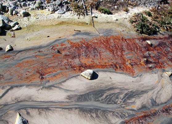 Red algae in a run-off stream from a hot pool at Devils Kitchen