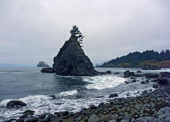 Trees on the tiny island beside Hidden Beach