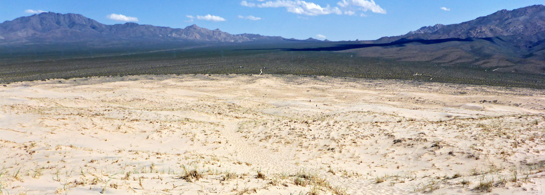 Half way to the tallest of the Kelso Dunes