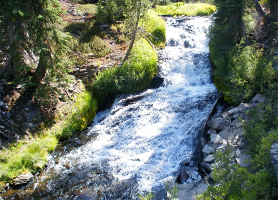 Kings Creek Cascades