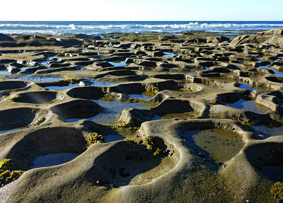 Many tide pools