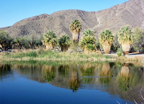 Lake Tuendae