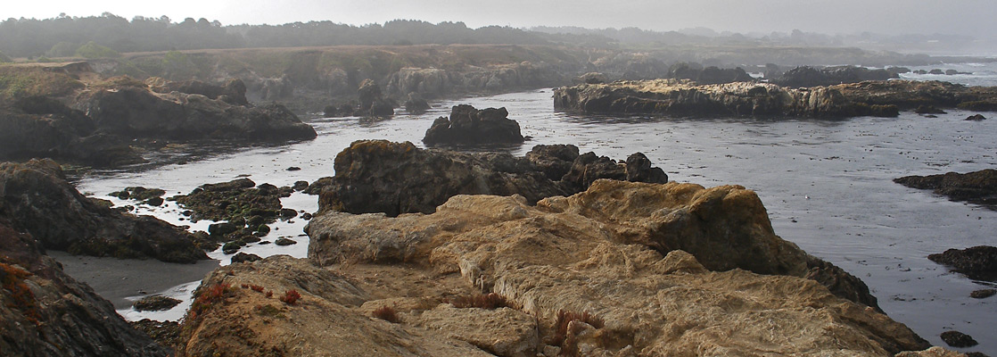 Rocky coastline south of Laguna Point, at low tide on a misty morning