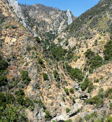 Above the Marble Fork streambed