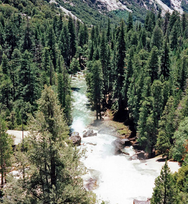 Downstream of Mist Falls